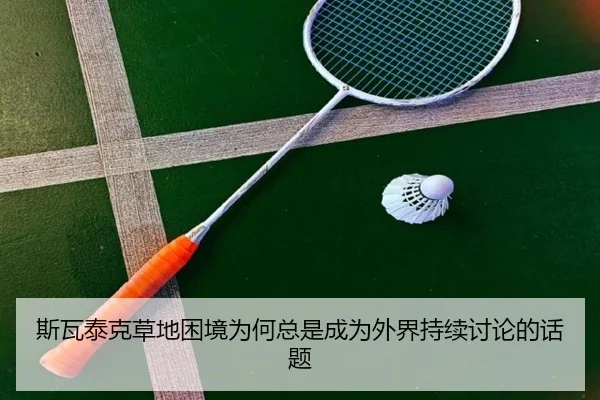 斯瓦泰克草地困境为何总是成为外界持续讨论的话题